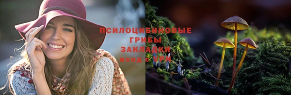 прущие крисы Балахна