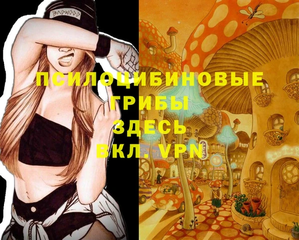 экстази Баксан