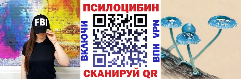 Галлюциногенные грибы MAGIC MUSHROOMS  наркошоп  Новоржев 