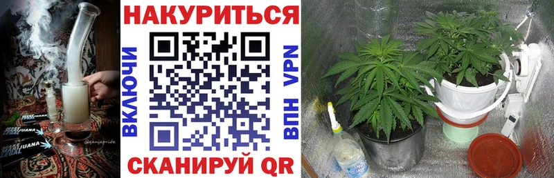 даркнет телеграм  Новоржев  кракен tor  Шишки марихуана SATIVA & INDICA  магазин продажи наркотиков 